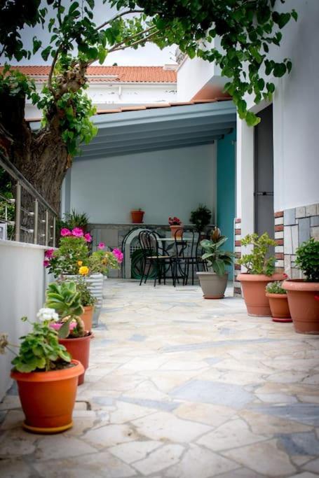 Spacious Apartment In The Heart Of Pythagorion Екстер'єр фото